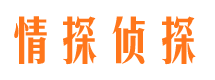 含山市场调查